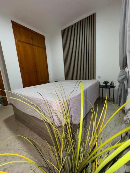 Apartamento Del Sur El Puerto de Santa María Exterior foto
